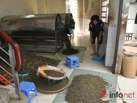 Kinh hoàng công nghệ sản xuất trà tẩm ướp hóa chất