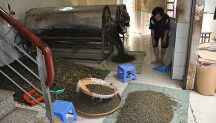 Phát hiện 12 tấn trà đang tẩm hóa chất