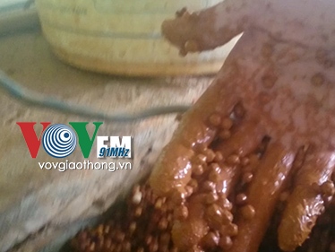 2 000 người Kim Sơn Gia Lâm bức xúc vì phải mua nước sạch từng ngày