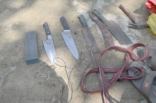 Trộm bò, xẻ thịt tại chỗ - thủ đoạn mới của tội phạm