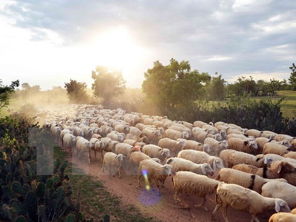 Bắc Bộ ngày nắng nóng trên 36 độ C, đêm có mưa dông diện rộng