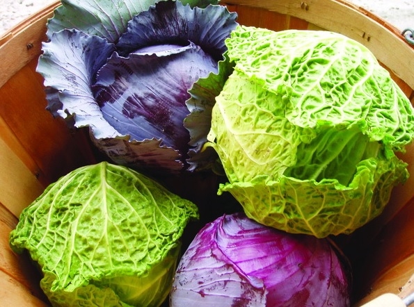 Các loại thực phẩm ngăn ngừa ung thư vú tốt nhất