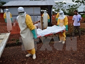 Thêm nhiều trường hợp nhiễm Ebola ở Guinea và Sierra Leone