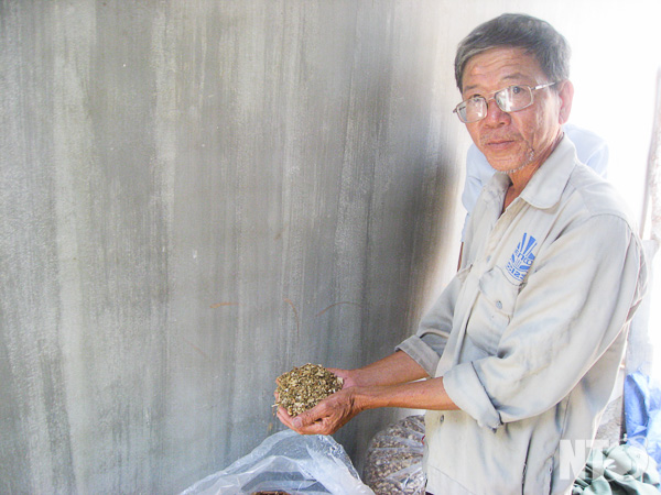 Hiệu quả mô hình Ủ chua thức ăn trong chăn nuôi bò