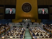 Việt Nam cam kết thực hiện nghiêm các quy định Hiệp ước NPT