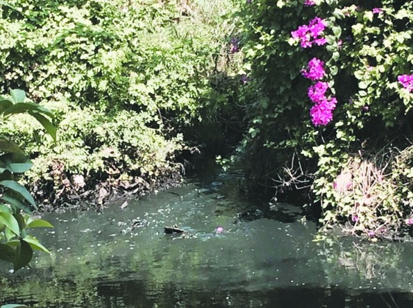 Cơ sở In ABC thách thức pháp luật