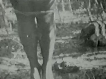 Chuyện về gã cảnh sát biến chất ở Mỹ - Kỳ3 Tuổi thơ không êm đẹp