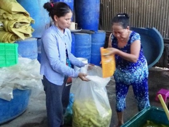 Măng thối tắm hóa chất thành măng đặc sản