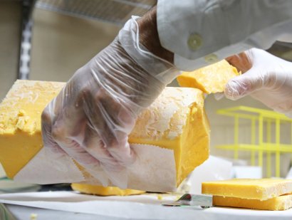 Pho-mát bán đắt như tôm tươi sau 20 năm ủ