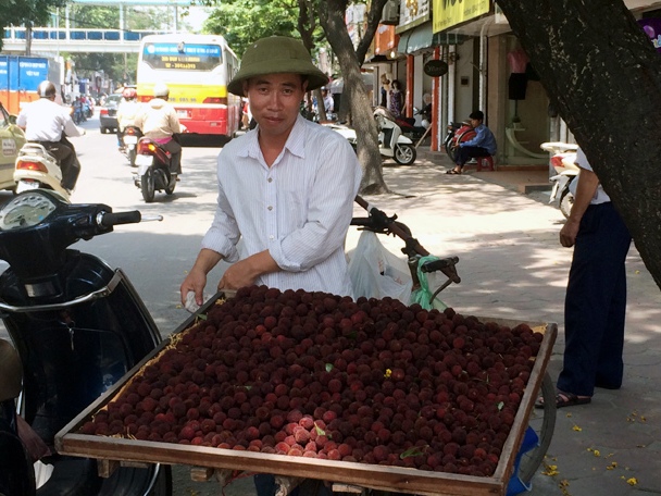 Thanh mai Trung Quốc 8 ngàn kg, lừa dân Hà thành 200 ngàn kg