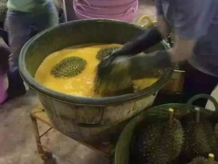 Thực hư sầu riêng Thái Lan tẩm chất nhuộm vàng