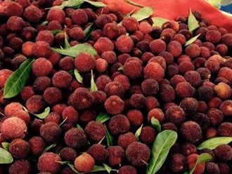 Chưa cấp phép nhập khẩu thanh mai từ Trung Quốc