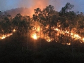 Thanh Hóa 3 ngày cháy hơn 200 ha rừng