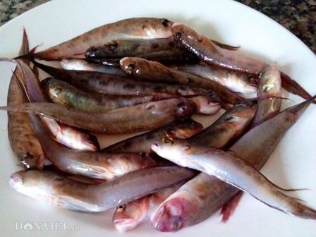 Canh chua cá bống thệ tiến vua xứ Huế