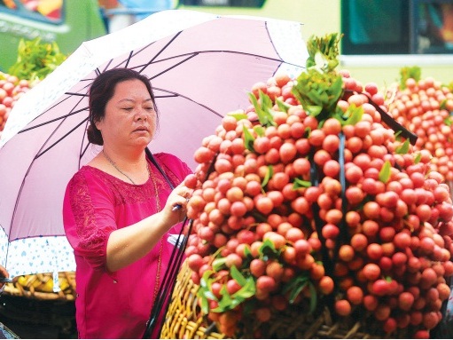Vải thiều Bắc Giang - nhìn từ vai thương lái
