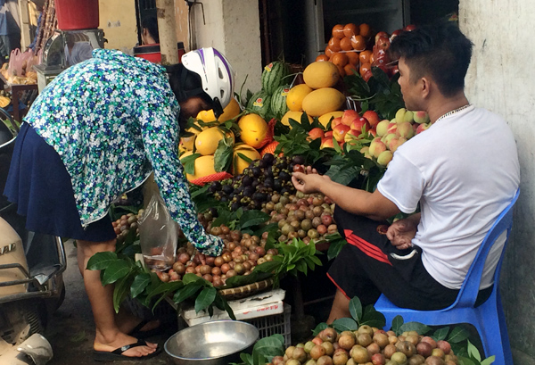 Vài chục tấn mận Trung Quốc đã qua cửa khẩu vào Việt Nam
