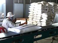 Gạo Việt tắc đầu ra vì phụ thuộc Trung Quốc