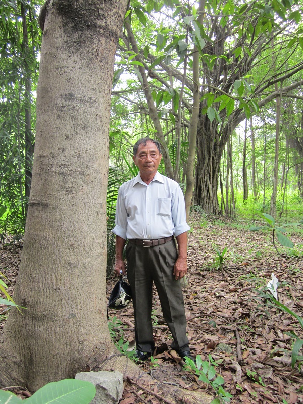 Ông Bảy Phước bên cây xanh mình trồng trên dưới 10 năm