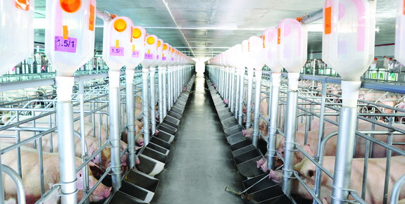 Nông nghiệp Việt Nam sẽ mạnh lên nhờ tự do hóa mậu dịch