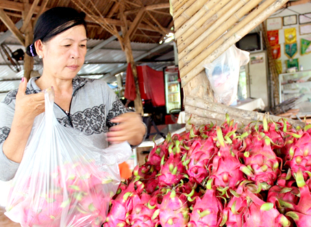 Lao đao vụ trái cây hè