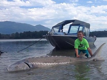 Bé 9 tuổi câu được cá nặng hơn 270kg