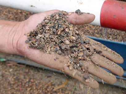 Khởi tố Chủ tịch, giám đốc thế chấp 800 tấn rác