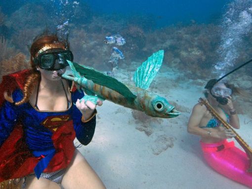 Lễ hội hòa nhạc dưới nước