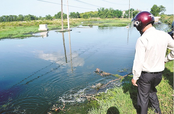 Dân điêu đứng vì nhà máy chế biến bột cá