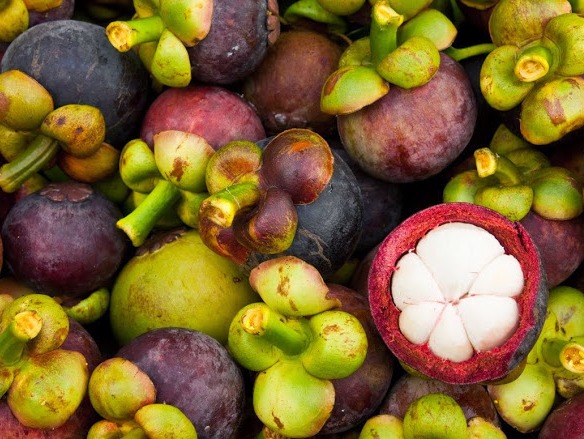 Cách nhận biết hoa quả ngậm chất kích thích