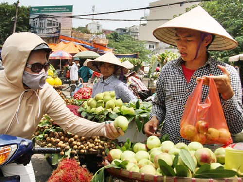Đào Trung Quốc đội lốt đào Sapa tràn ngập thị trường