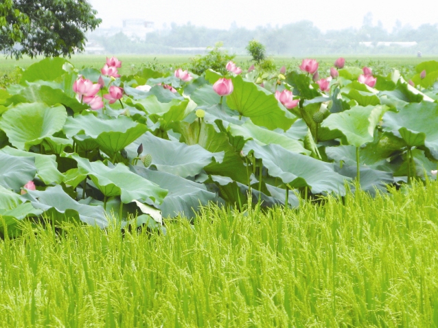 Tự hào màu áo xanh