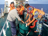 Cảnh sát biển bắt 4 tàu mua bán trái phép 400 000 lít dầu DO