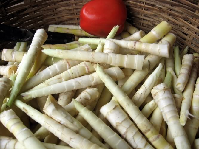 Cách loại bỏ độc tố và lưu huỳnh trong các loại măng