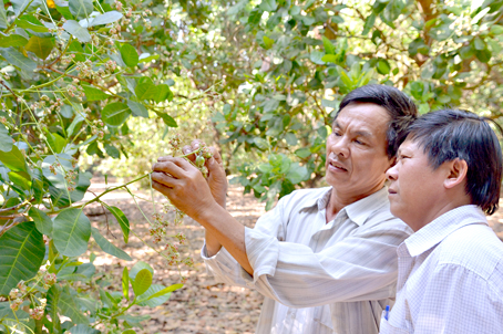 Thành công trên vùng đất khó