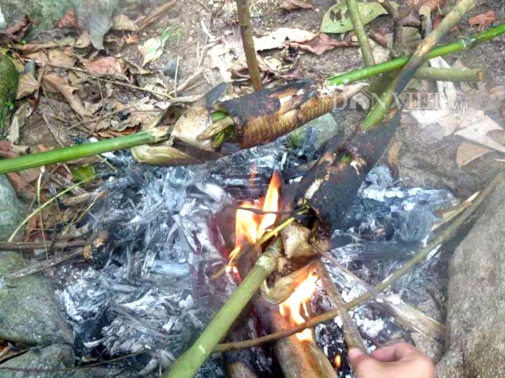 Cá suối nướng và hương vị núi rừng