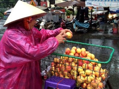 Cách phân biệt mận, đào, dưa Trung Quốc và Việt Nam