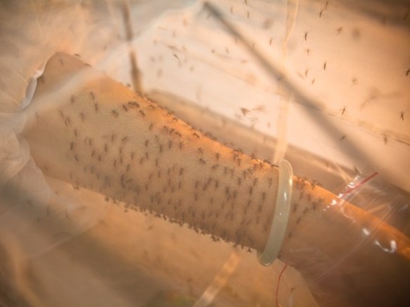 Dịch sốt xuất huyết diễn biến phức tạp, người dân không hợp tác