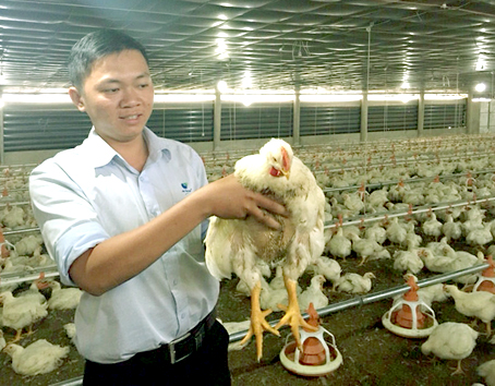 Cần hạn chế nhập khẩu thịt gà