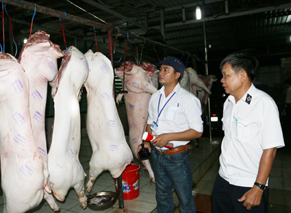 Thành phố Vũng Tàu Bất cập trong quản lý giết mổ gia súc, gia cầm