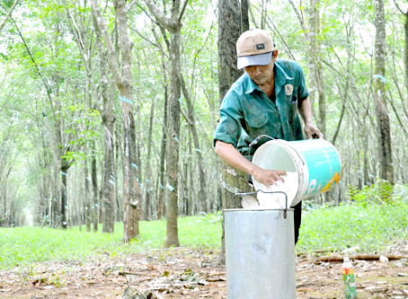 Chông chênh nông sản xuất khẩu