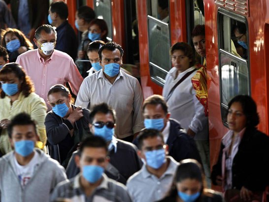 Nguy cơ lớn dịch bệnh từ động vật sang người