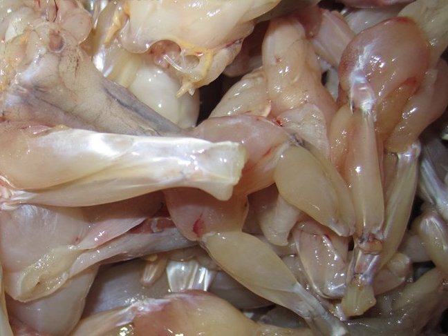 Giòn thơm nhái xào sả ớt