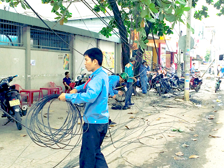 Mạng nhện khắp nơi