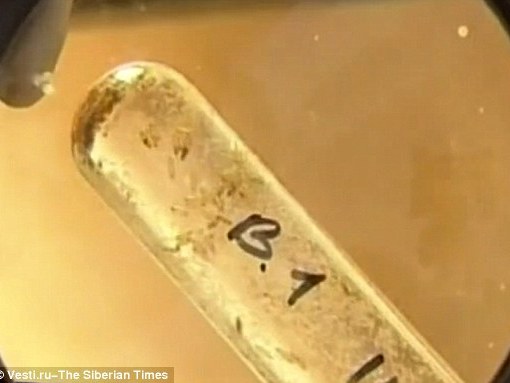 Phát hiện loại vi khuẩn giúp con người trường sinh