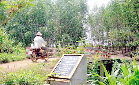 Giải phóng mặt bằng cho Cảng hàng không quốc tế Long Thành Để không trễ hẹn