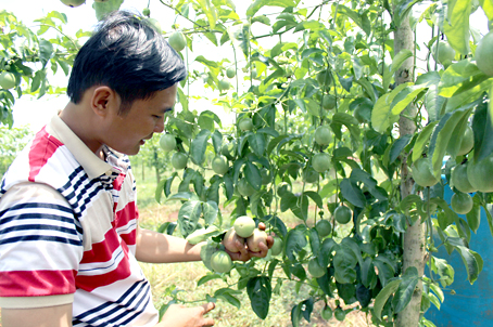 Nông sản sạch mong vào siêu thị