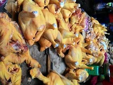 Vụ gà vàng nhờ độc chất Đừng chạy theo hình thức đẹp