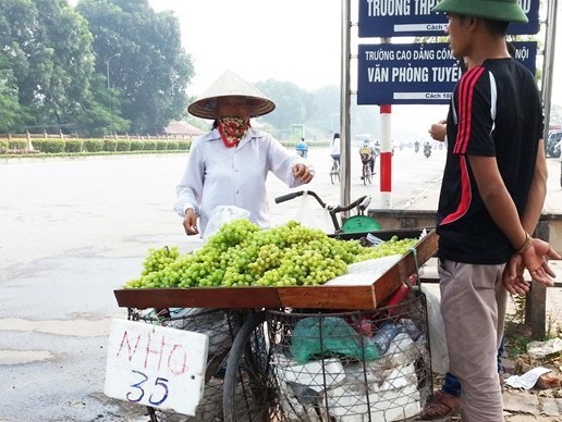 Nho Trung Quốc đột lốt nho Ninh Thuận ồ ạt xuống phố