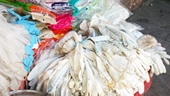 Ẩn họa găng tay y tế được tái chế bằng nước tẩy rửa Trung Quốc