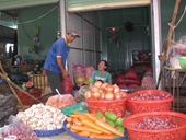Nông sản Trung Quốc nhập về Việt Nam đều là hàng rởm